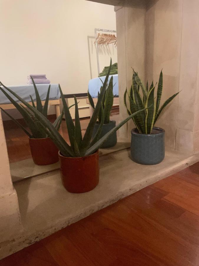Loft Ponte Pietra Villa Verona Exteriör bild
